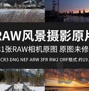 91视频麻豆在线观看-麻豆在线视频，探索成人内容平台的魅力与界限