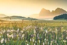 成人www视频-成人教育视频，拓宽视野与自我提升的桥梁