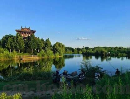 成人在线直播高清视频-成人在线直播高清视频，重塑娱乐与社交的新维度