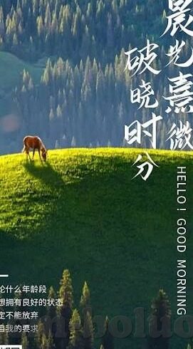 大象2022精品视频-2022年大象精品视频，艺术与技术的完美融合