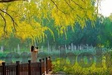 大象传媒APP下载-探索大象传媒APP，连接创意与娱乐的新桥梁