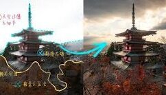国产视频91麻豆-国产视频91麻豆现象的正视与思考，文化市场的多元格局与审美观念的演变