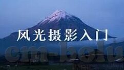 麻豆护士视频-向日葵照亮的另一侧，揭开麻豆护士视频的真相