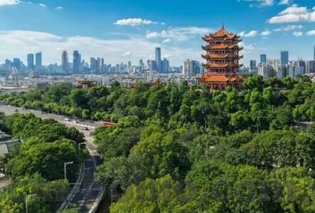 糖心vlog官网入-糖心Vlog新视界，官网入口之旅的探索与发现