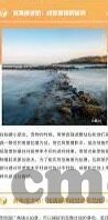 糖心vlog在线观看_糖心vlog深夜释放自己-深夜观影，探寻糖心Vlog的独特魅力
