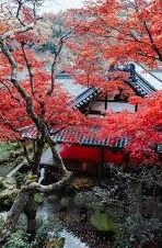 亚洲麻豆一二三四区av-跨越数字的界限，重新审视成人内容的文化与法律问题