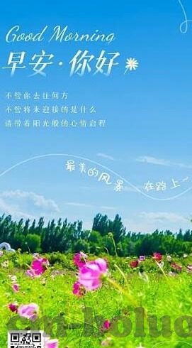 一本到不卡免费一区二区-探索网络世界的多元性，一本到不卡免费一区二区的真实面貌